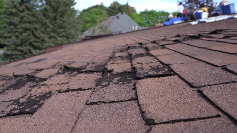 Best Gutter Installation and Repair  in Scotts Valley, CA